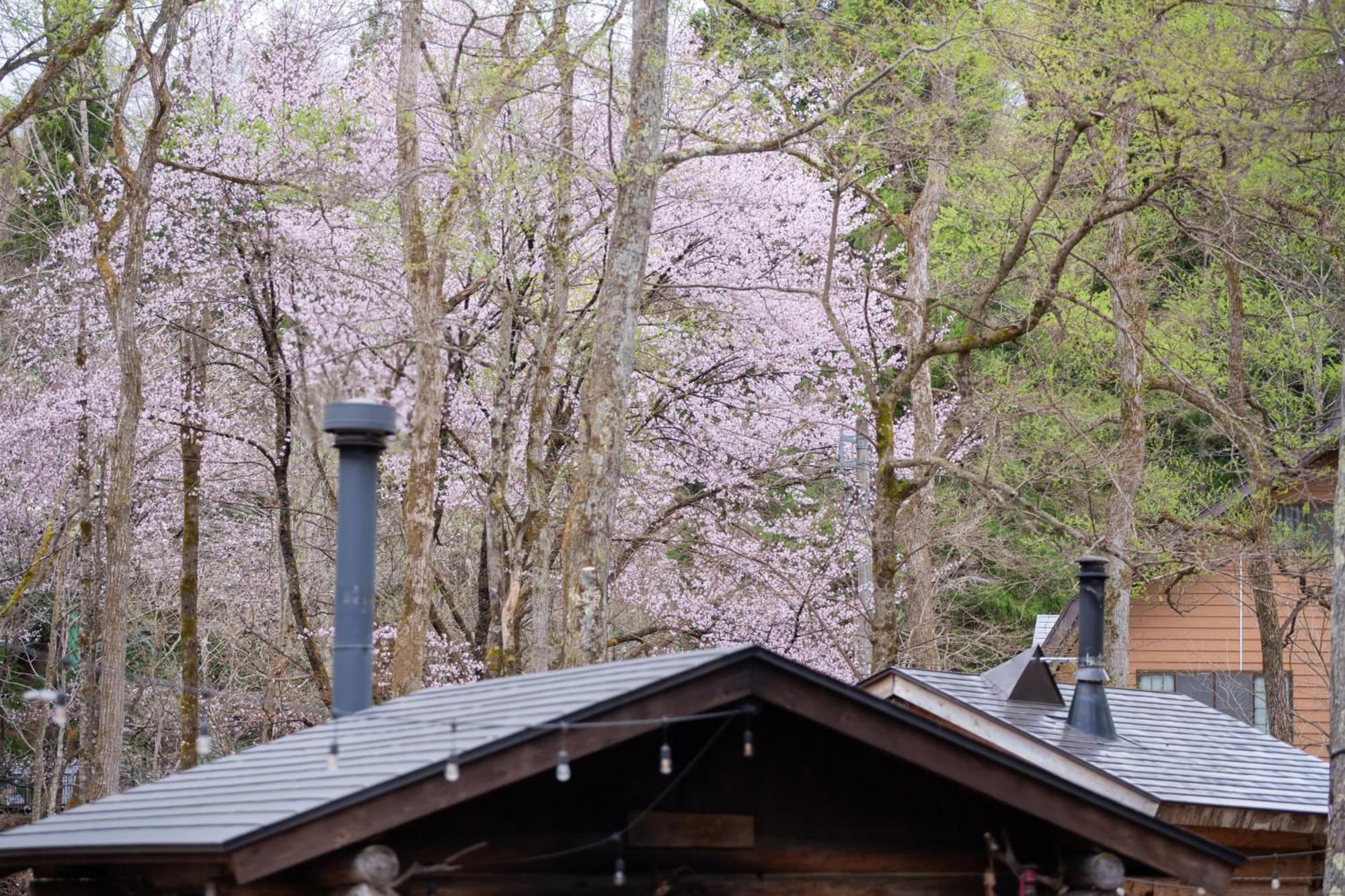 Lamp Nojiriko The Sauna By The Lake Shinano  Exterior foto